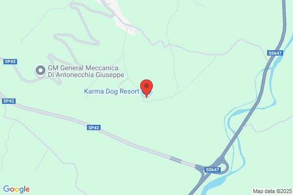 Karma Dog Resort