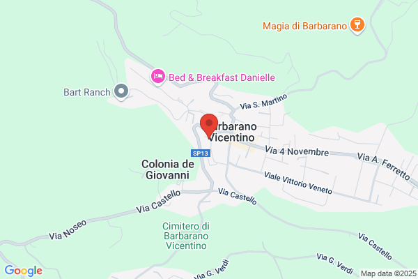 Fisio Vicentina (S.R.L.)