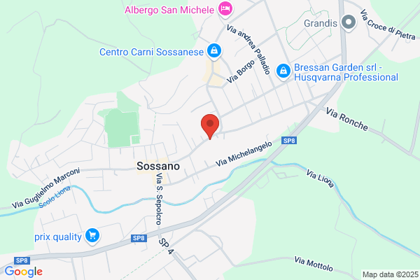 Spaliviero massimo