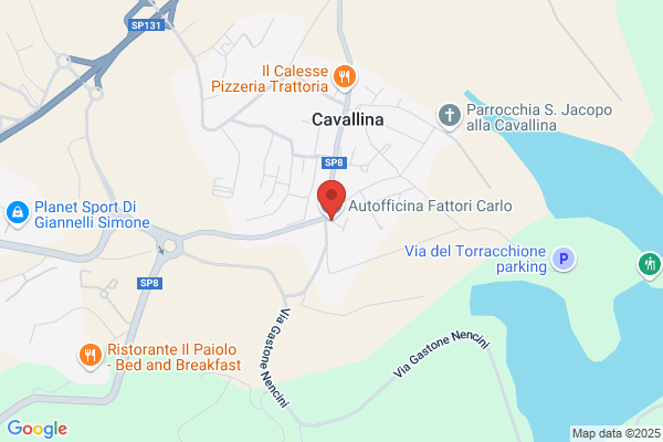 Fattori Carlo
