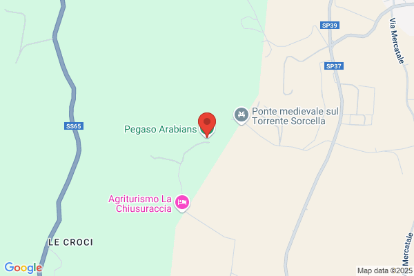 Associazione Sportiva Ranch Cowsense