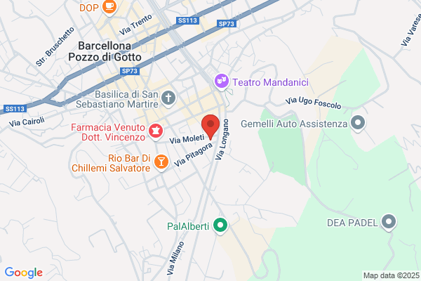 Lo Giudice palmina