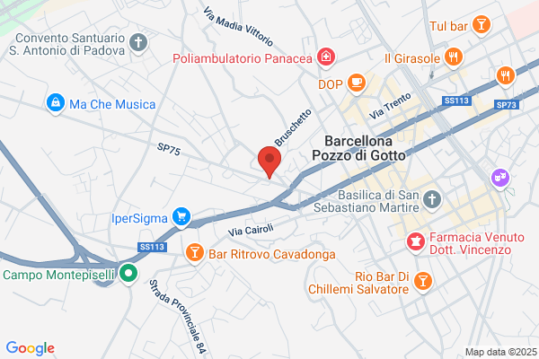 Sindacato Nazionale Vigili Urbani