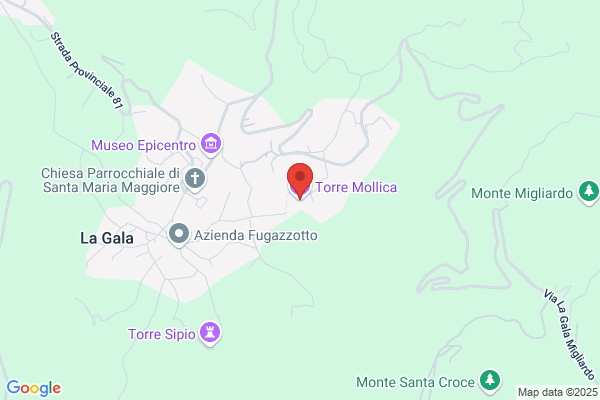 Torre domenico