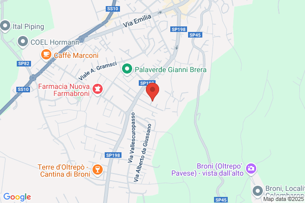 Fibrosi Bruno