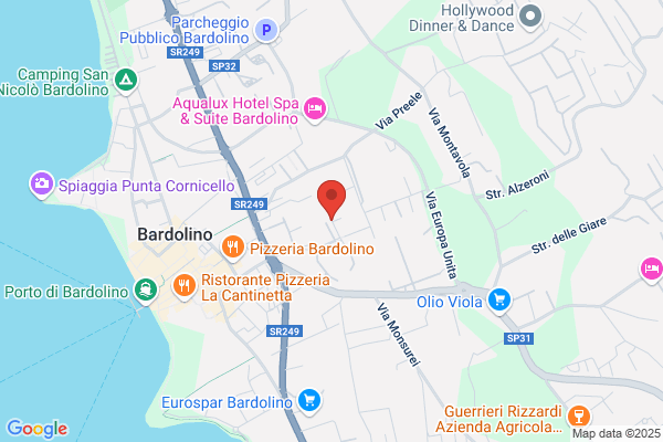 Vicenzi gino