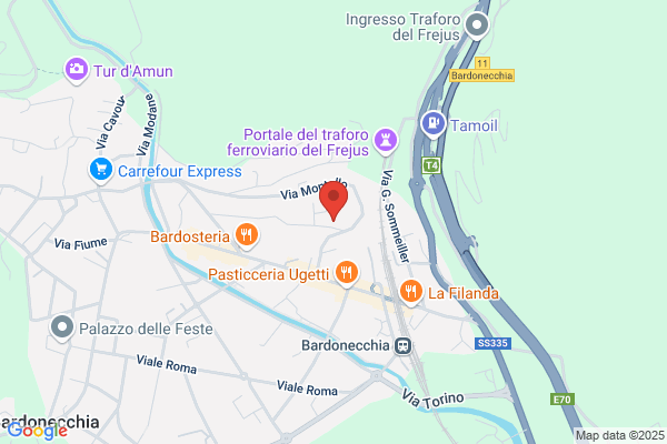 Istituto Freyus
