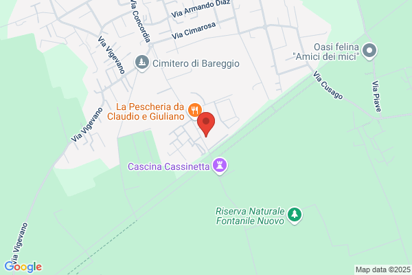 Vetronaviglio