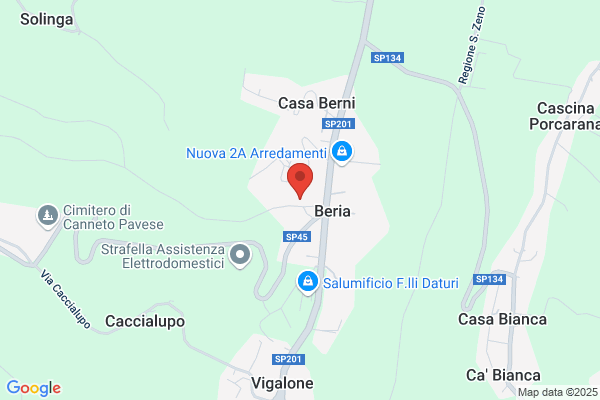 Picchione dino