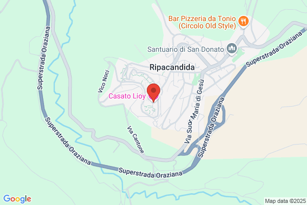 Casato Lioy