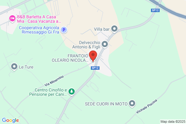 Napoletano nicola