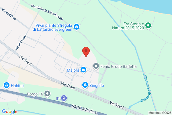 Maglificio Lionfil Snc