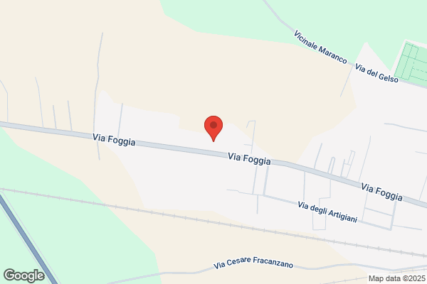 Quinto savino