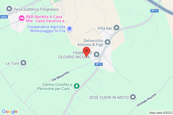 Pozzi Service Di Dicuonzoantonio
