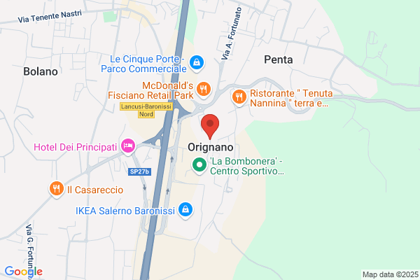 Napoli delfino