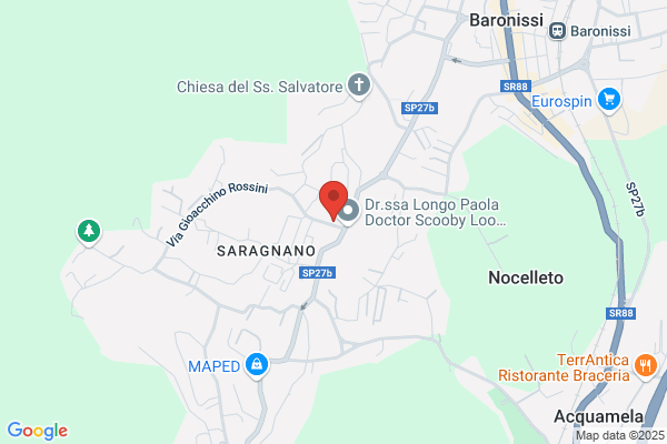 S.Francesco da Paola
