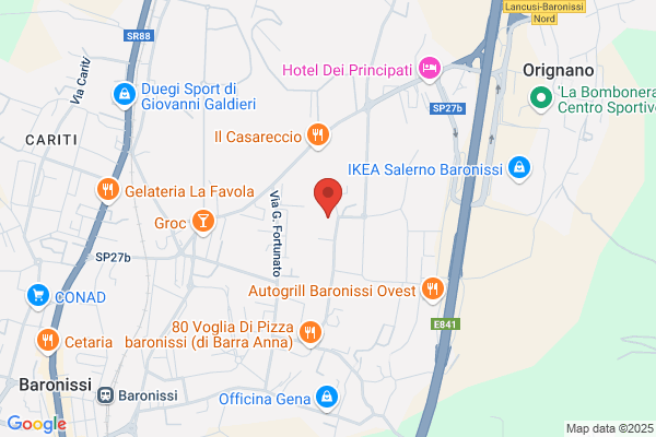 I Pontitalia Autotrasporti Nazionali-S.R.L.