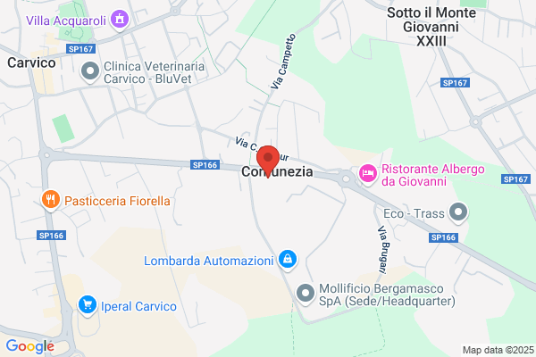 Auto Talia