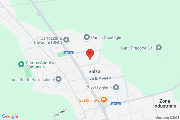Regazzi