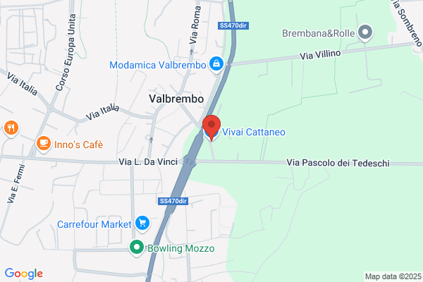 Vivai Cattaneo