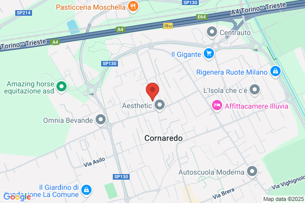 N.I.P.Nuova Impresa Pulizia S.R.L.