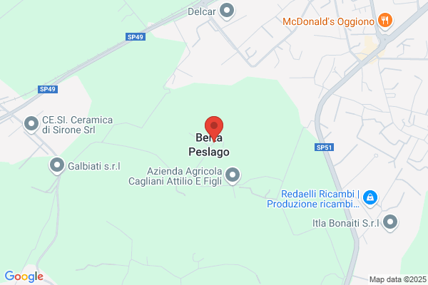 Negri elide