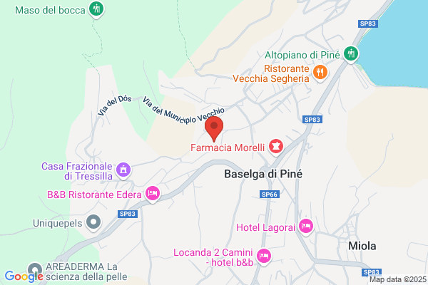 Pensione Villa Pine