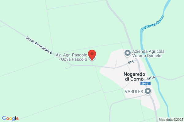 Pascolo angelo (Cav.)