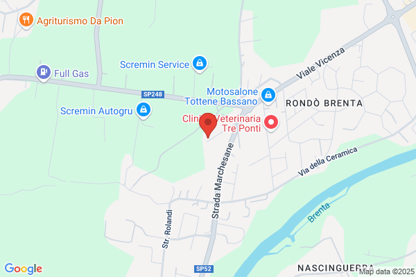 Guadagnini Security Srl