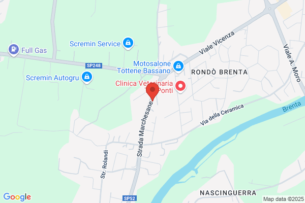 Guidolin Dina Antonia