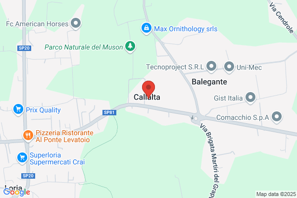 Comin, Sebastiano