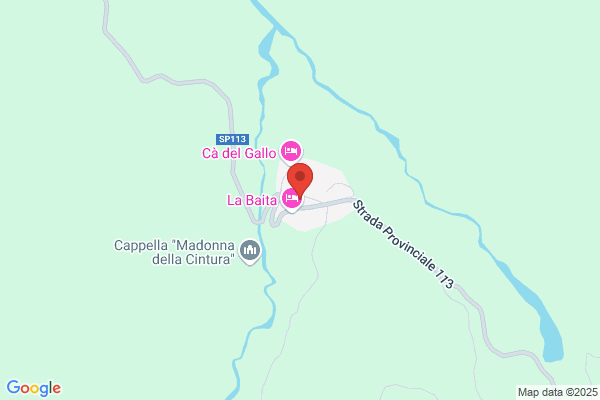 Salogni