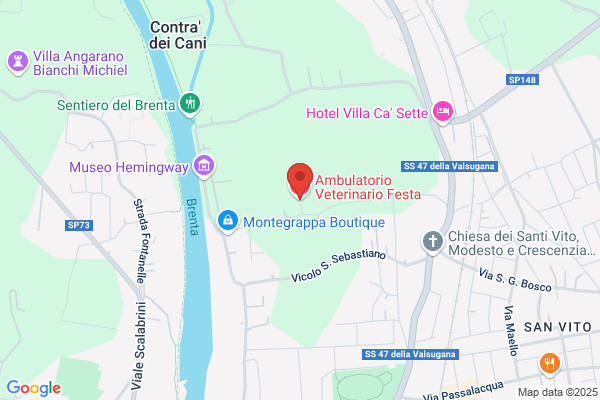 Ambulatorio Veterinario Festa