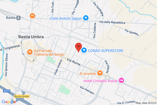 Service Immobiliare Umbra Srl