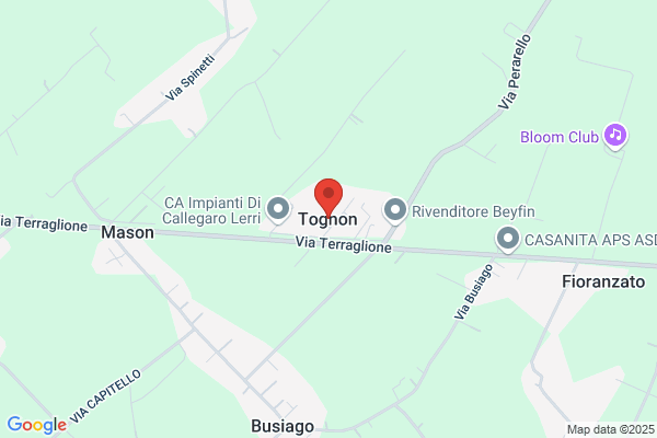 Tognon gustavo