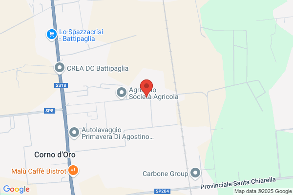 Palumbo genuario