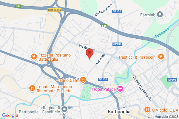 Ente Nazionale Delle Sementi Elette
