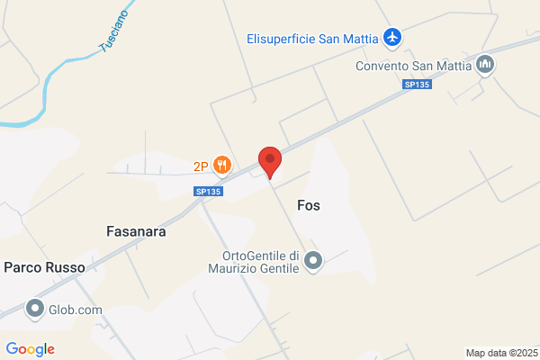 F.O.S. Fibre Ottiche Sud S.P.A.