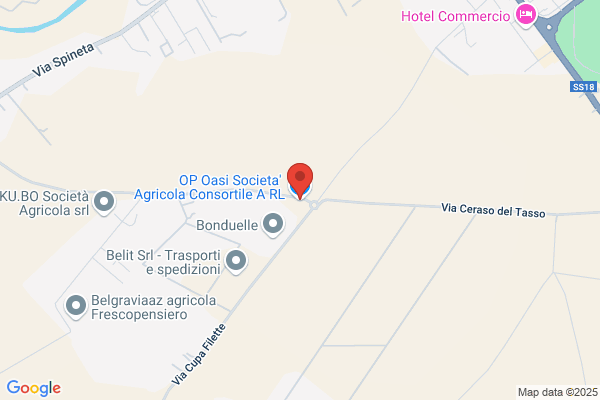 Organizzazione Agricoltura S.R.L. Di Franco Assunta