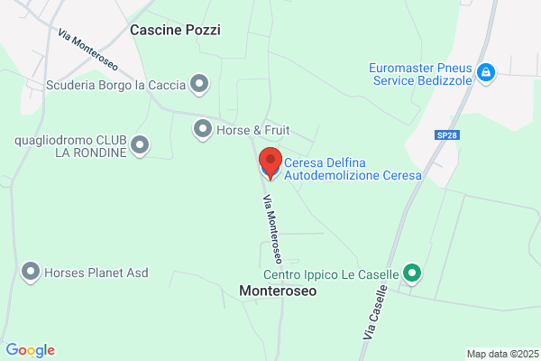 Ceresa Delfina  Autodemolizione Ceresa