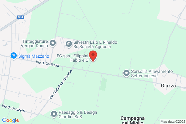 F.G. sas - Filippini Fabio e C.