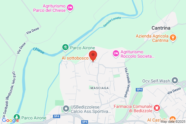Al sottobosco