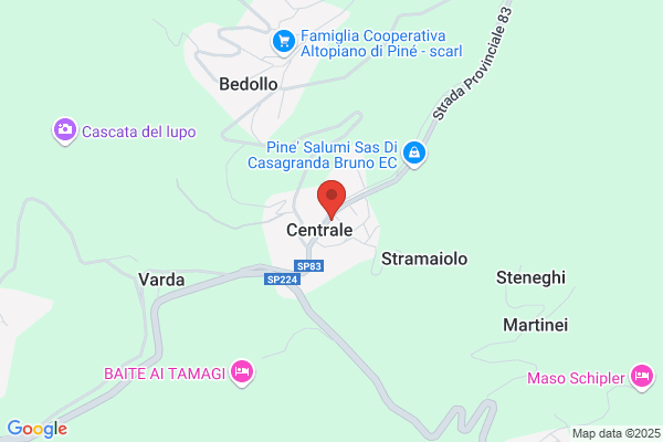 Torreffazione Triveneta