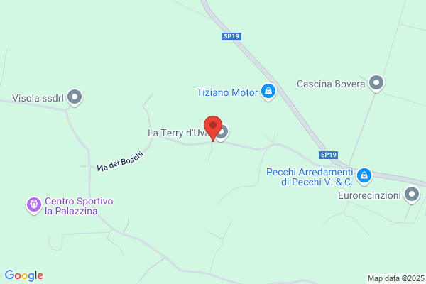 Lalveare Di Lilli