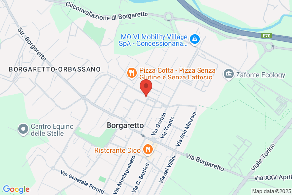 Gruppo Phonema Srl