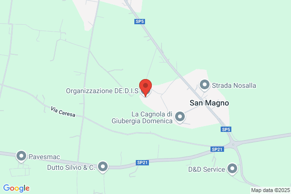 Organizzazione De.D.I.S.