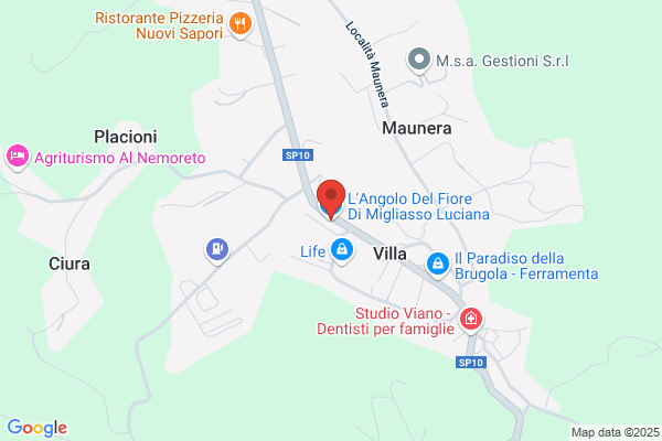 Langolo Del Fiore Di Lloshi Jonida