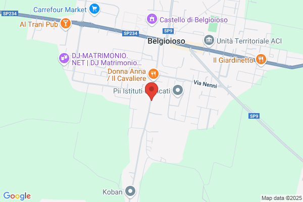 Modena leonardo (Dr.)