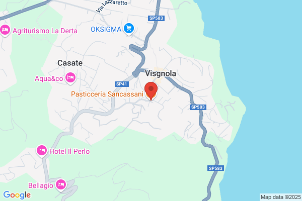 Sancassani claudio