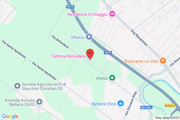 Fattoria Belvedere Di Troiani Giulio E Paolo Ec sn